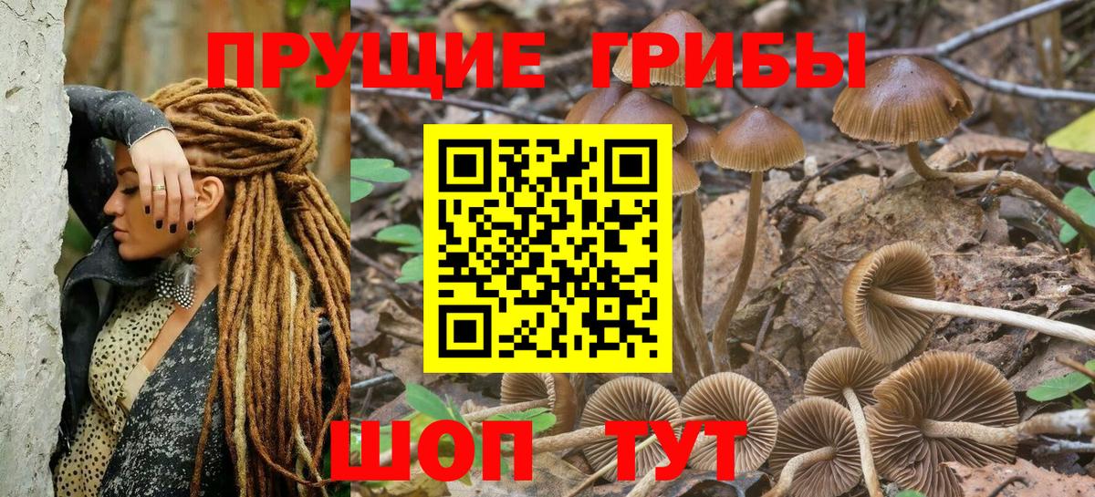 Псилоцибиновые грибы Magic Shrooms  Вход с VPN  Новокубанск 