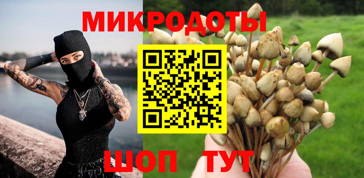 Галлюциногенные грибы Psilocybine cubensis Новокубанск